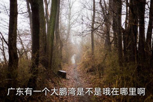大鵬灣，大鵬灣在深圳哪個(gè)區(qū)