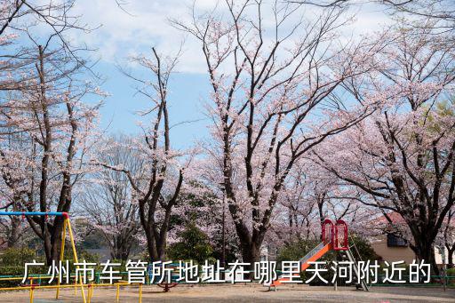 廣州市車管所地址在哪里天河附近的