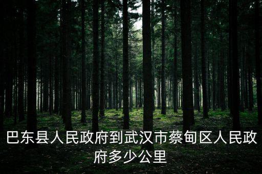 蔡甸區人民政府，蔡甸區大集鎮新塘村什么時候拆遷