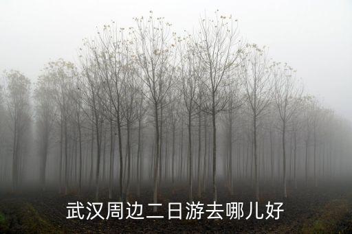 武漢周邊二日游，武漢自駕游2日游的景點給我推薦個啊