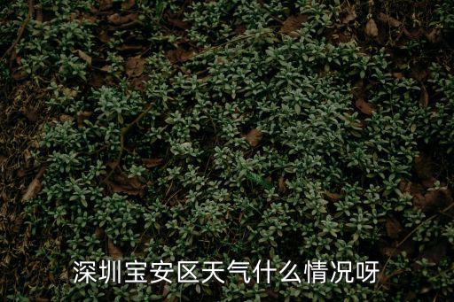 深圳寶安區(qū)天氣什么情況呀