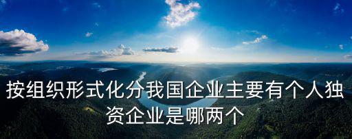 按組織形式化分我國(guó)企業(yè)主要有個(gè)人獨(dú)資企業(yè)是哪兩個(gè)