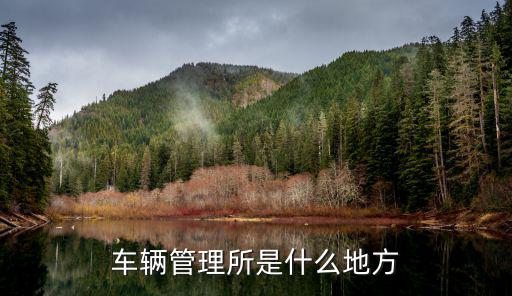 車管，交警支隊的車管工作站是做什么的