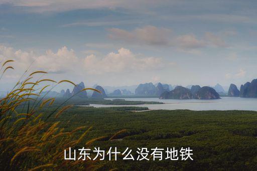 山東地鐵，上海地鐵有到山東濟南的嗎