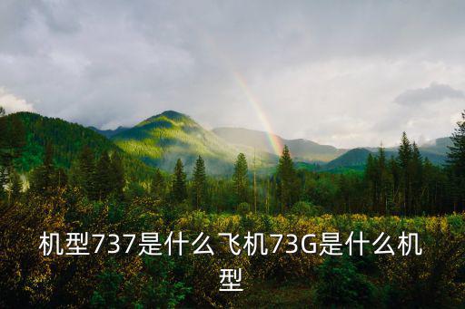 機型737是什么飛機73G是什么機型
