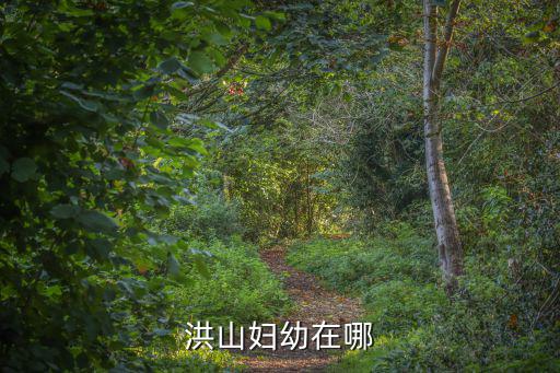 洪山婦幼在哪