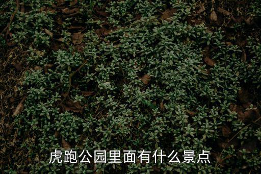 虎跑公園，杭州虎跑需要門票嗎