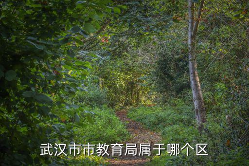 武漢市市教育局屬于哪個區