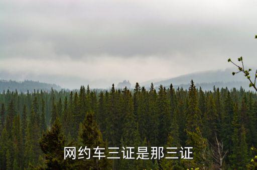 網約車三證是那三證