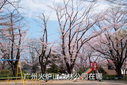 廣州火爐山，廣州體育中心到火爐山森林公園坐什么車