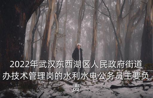 2022年武漢東西湖區人民政府街道辦技術管理崗的水利水電公務員主要負責
