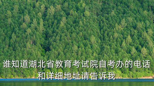 誰知道湖北省教育考試院自考辦的電話和詳細地址請告訴我