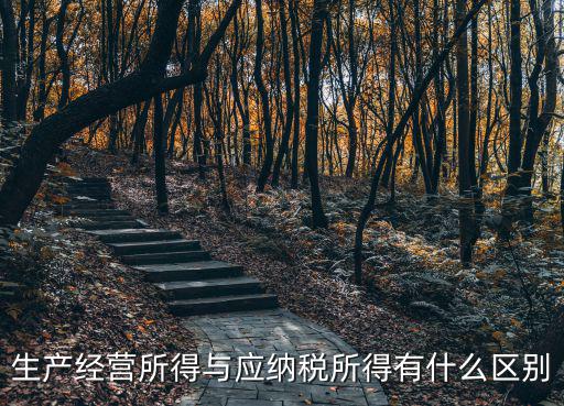 生產經營所得與應納稅所得有什么區別