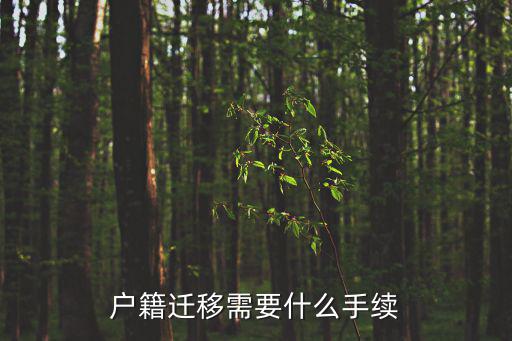 戶籍遷移需要什么手續(xù)