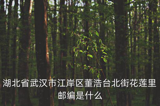 湖北省武漢市江岸區董浩臺北街花蓮里郵編是什么