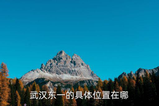 武漢東一的具體位置在哪