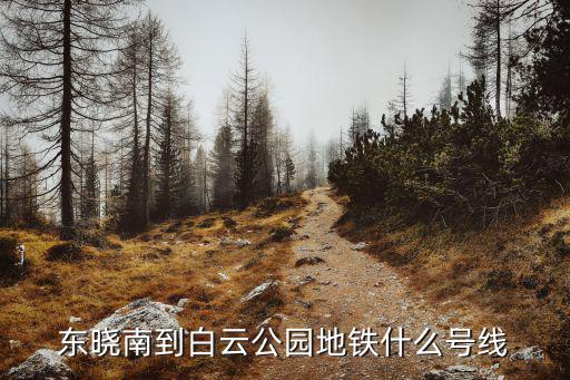東曉南到白云公園地鐵什么號線