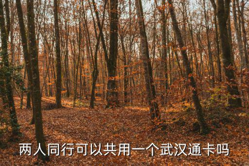 兩人同行可以共用一個武漢通卡嗎