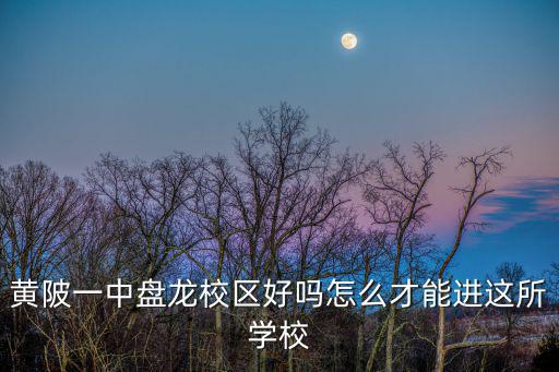 黃陂一中盤龍校區好嗎怎么才能進這所學校