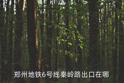 鄭州地鐵6號線秦嶺路出口在哪