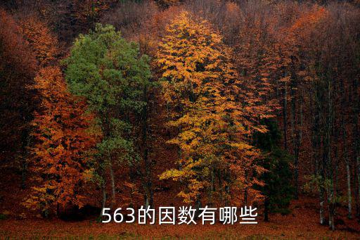 563的因數有哪些