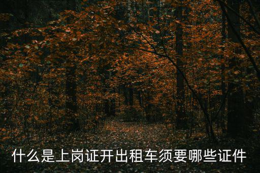 什么是上崗證開出租車須要哪些證件