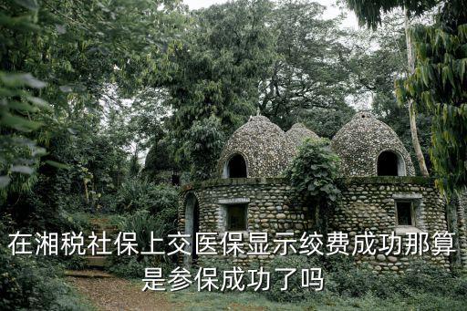 在湘稅社保上交醫(yī)保顯示絞費(fèi)成功那算是參保成功了嗎
