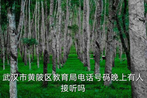 武漢市黃陂區(qū)教育局電話號碼晚上有人接聽嗎