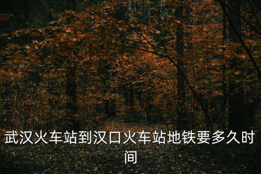 武漢火車站到漢口火車站地鐵要多久時間