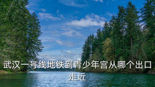 武漢一號線地鐵到青少年宮從哪個(gè)出口走近