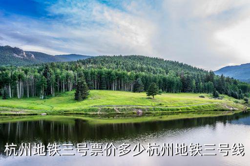 杭州地鐵票價查詢，杭州地鐵1號線線路圖九和路到龍翔站需要多少錢每天要座的月票是