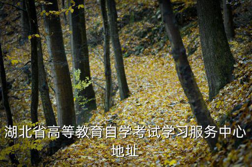 湖北省高等教育自學考試學習服務中心地址