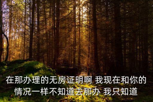 新密市房管局，在那辦理的無房證明啊 我現在和你的情況一樣不知道去那辦 我只知道
