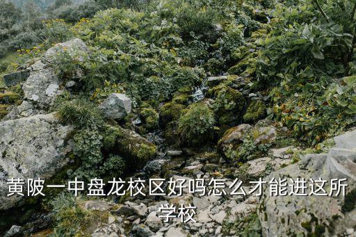 黃陂一中盤龍校區(qū)，黃陂一中是不是個垃圾學校