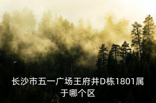 長沙市五一廣場王府井D棟1801屬于哪個區(qū)