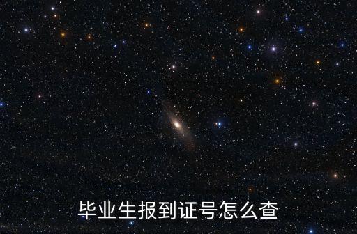 畢業(yè)生報到證號怎么查