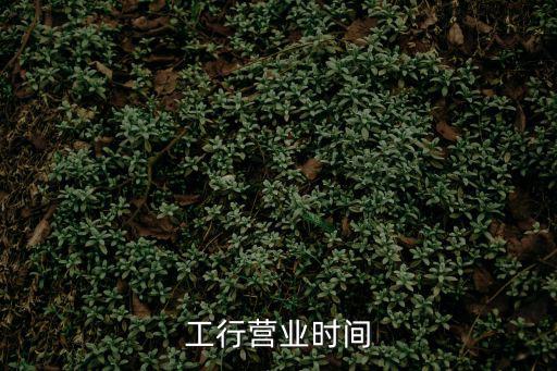 工行營業(yè)時間