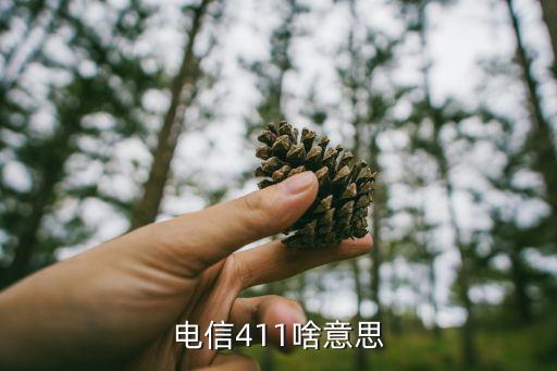 電信411啥意思