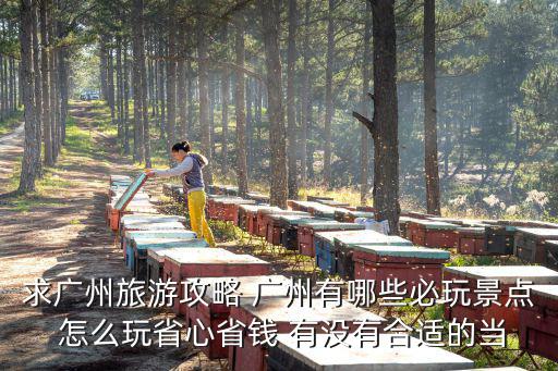 求廣州旅游攻略 廣州有哪些必玩景點 怎么玩省心省錢 有沒有合適的當