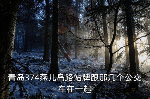 燕兒島，從燕兒島去青島城陽機場