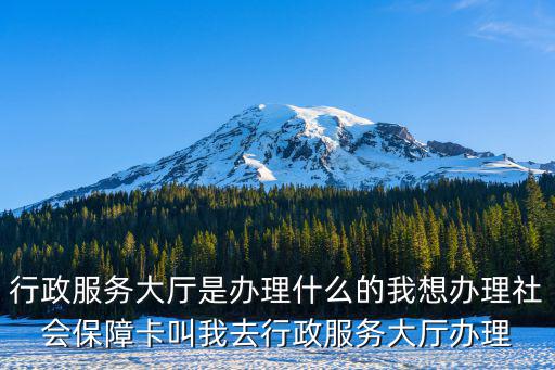 行政服務大廳是辦理什么的我想辦理社會保障卡叫我去行政服務大廳辦理