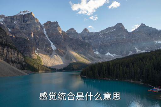感覺統合，感覺統合是什么意思