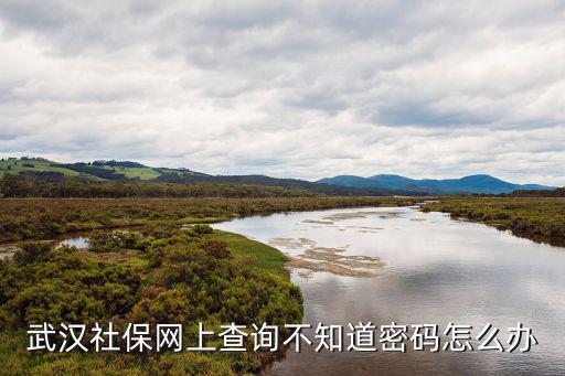 武漢社保網(wǎng)上查詢不知道密碼怎么辦