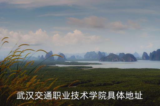 武漢交通職業(yè)學(xué)院地址，武漢交通職業(yè)技術(shù)學(xué)院具體地址