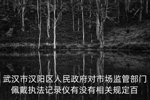 武漢市漢陽區人民政府對市場監管部門佩戴執法記錄儀有沒有相關規定百