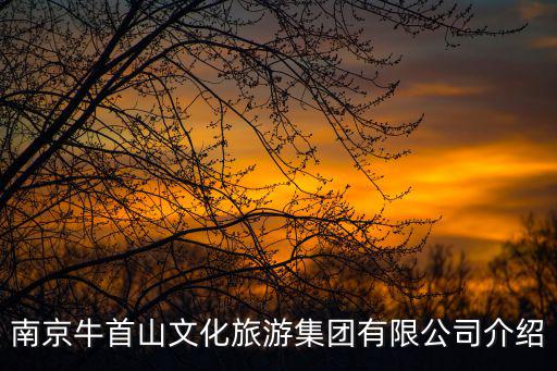 南京牛首山文化旅游集團(tuán)有限公司介紹