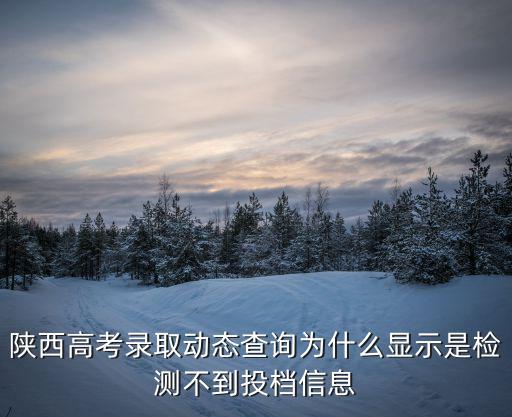 陜西高考錄取動態(tài)查詢?yōu)槭裁达@示是檢測不到投檔信息