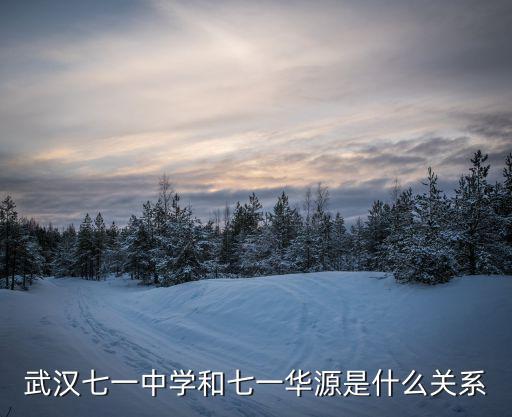武漢七一中學和七一華源是什么關系