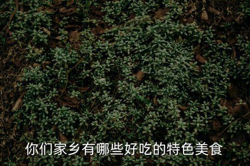 你們家鄉(xiāng)有哪些好吃的特色美食