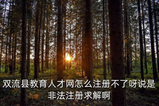 雙流縣教育人才網(wǎng)怎么注冊(cè)不了呀說(shuō)是非法注冊(cè)求解啊